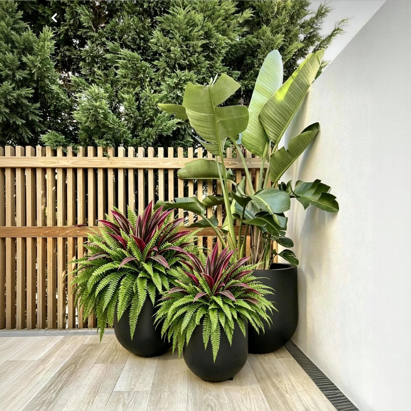 🔥UV‑Resistant Artificial Fern & Red Dracaena Decor Plants