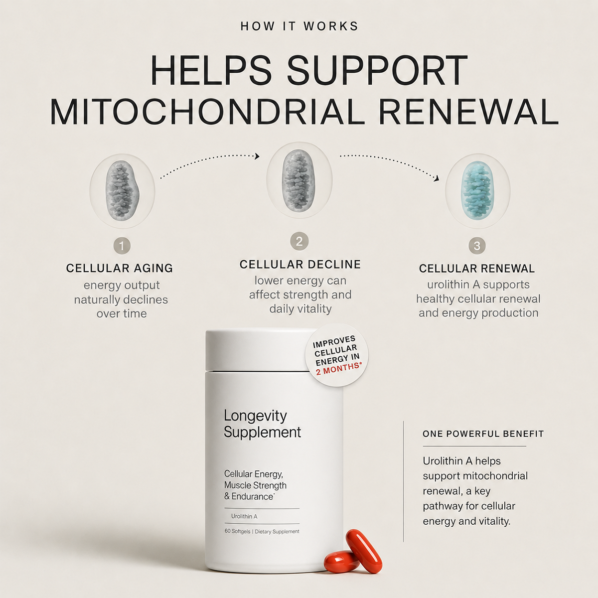 Urolithin A Softgels, Daily Dietary Supplement for Cellular Health, Muscle & Healthy Aging Support