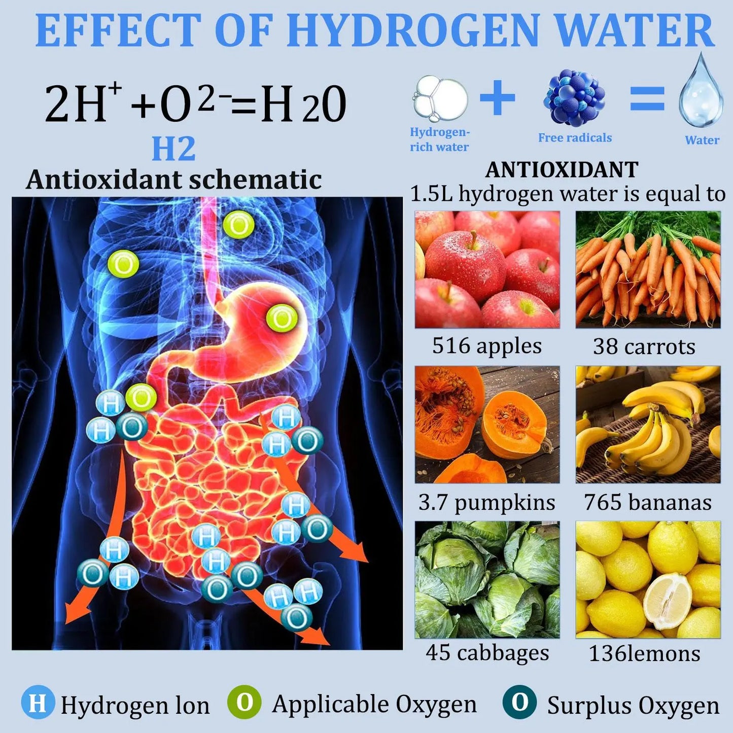 Hydrogen Enriched Water Mug