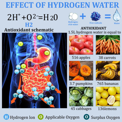 Hydrogen Enriched Water Mug
