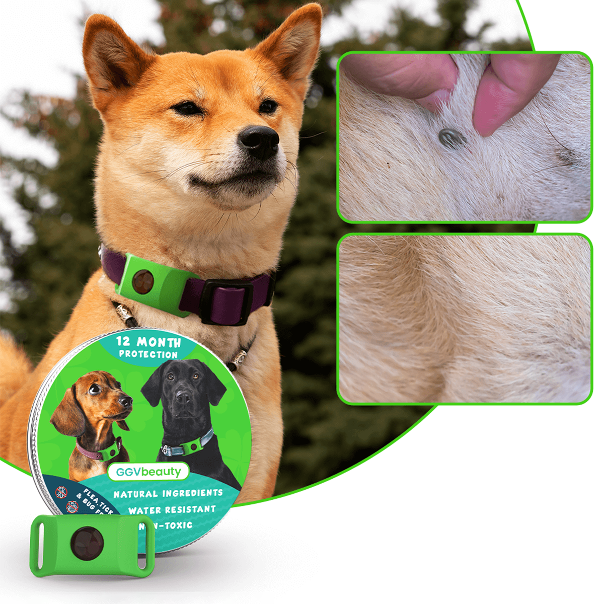 GGVbeauty 12 Month Flea Tick Pet Protector