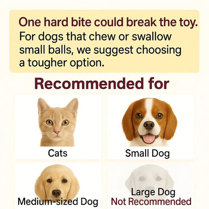 Interactive Cat & Dog Teaser Toy with Tails