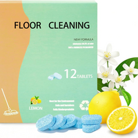 1 Pack (12 Tablets)