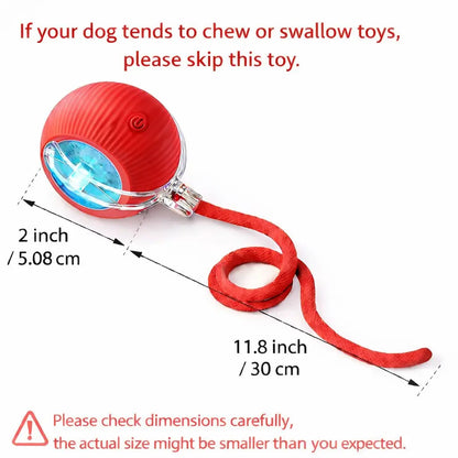 Interactive Cat & Dog Teaser Toy with Tails