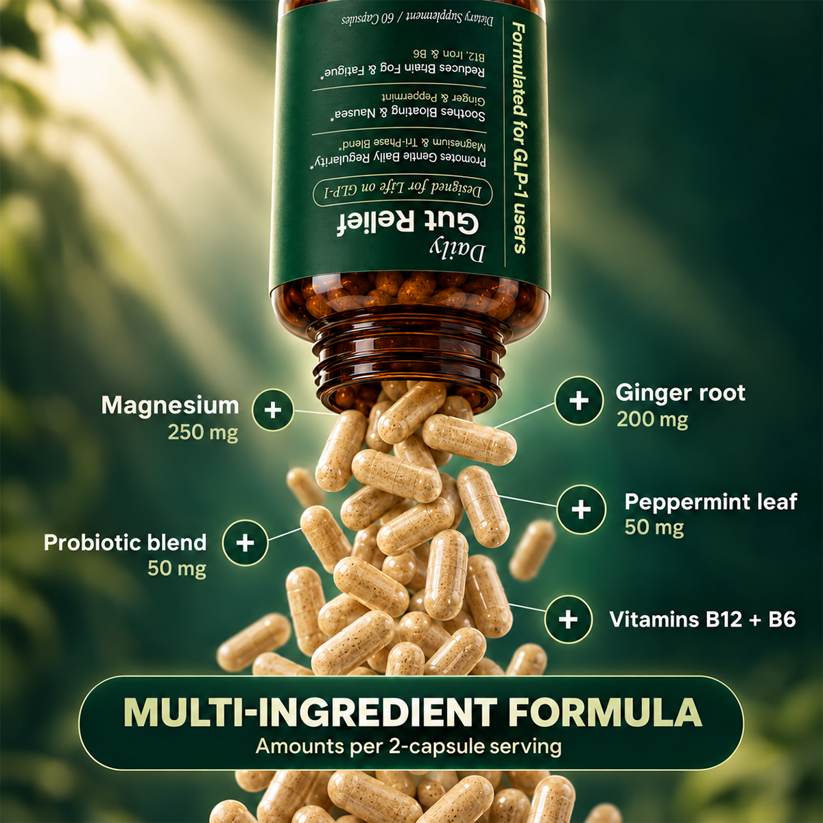 Daily Gut Relief Digestive Support Capsules, 60 Count