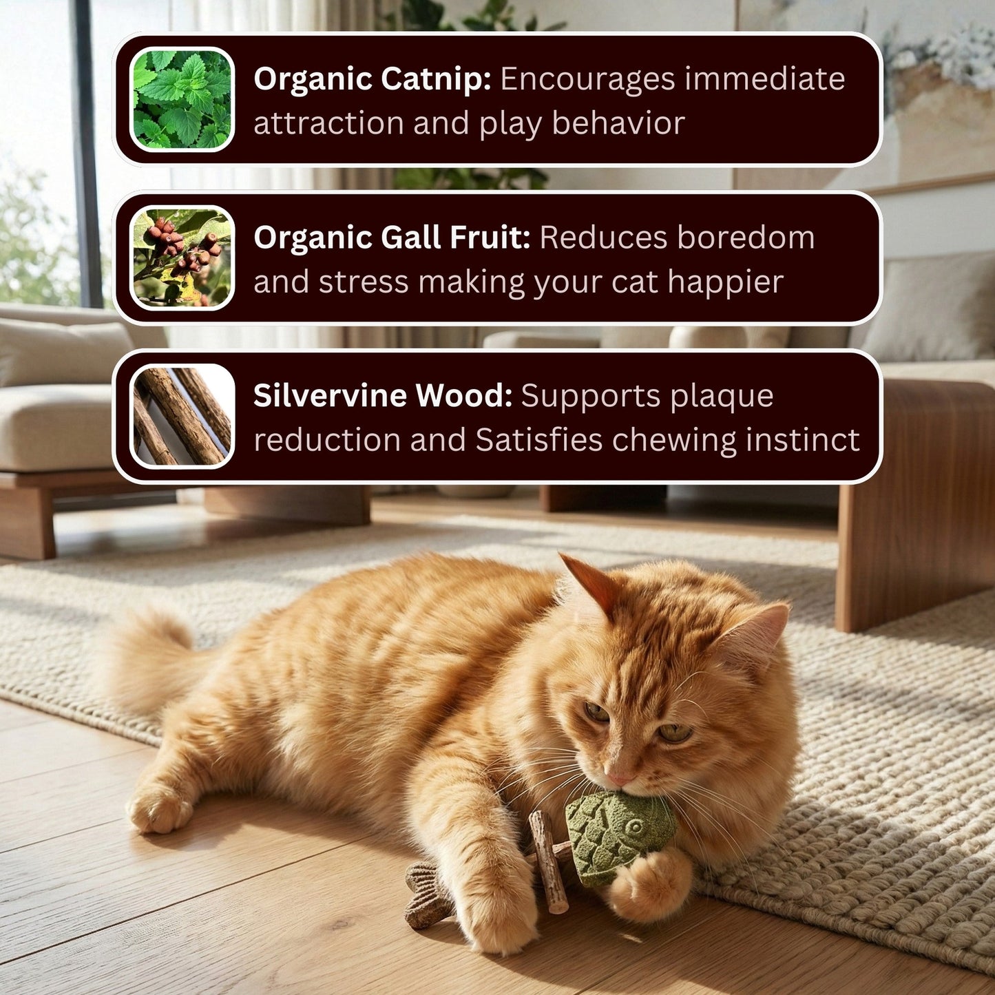Catnip & Silvervine Chew Toys for Cats