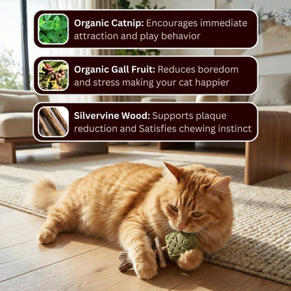Catnip & Silvervine Chew Toys for Cats