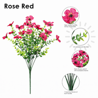 Rose Red