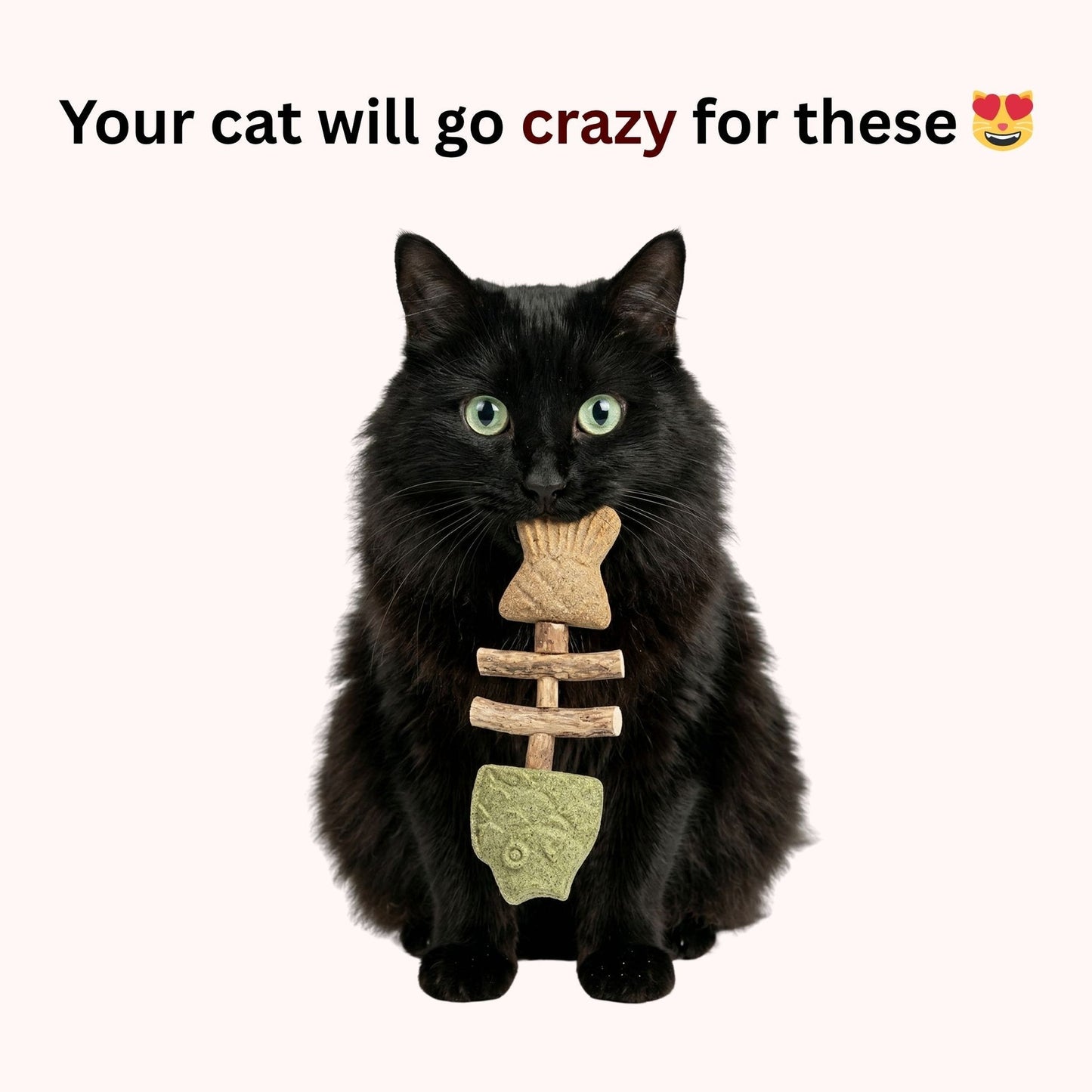 Catnip & Silvervine Chew Toys for Cats