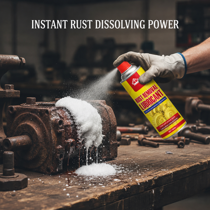 Anti-Rust Lubricant Spray & Rust Remover