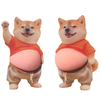 Happy Shiba Inu Pair