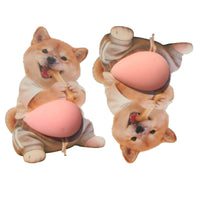 Bone-Biting Shiba Inu Pair