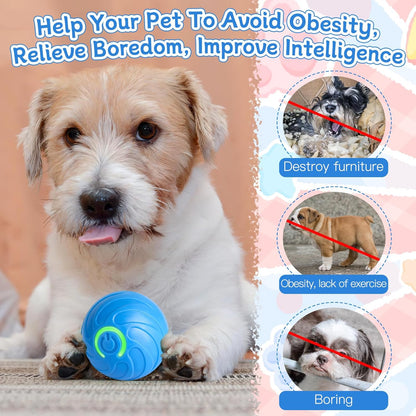 Interactive Automatic Dog Toy Ball – USB Rechargeable