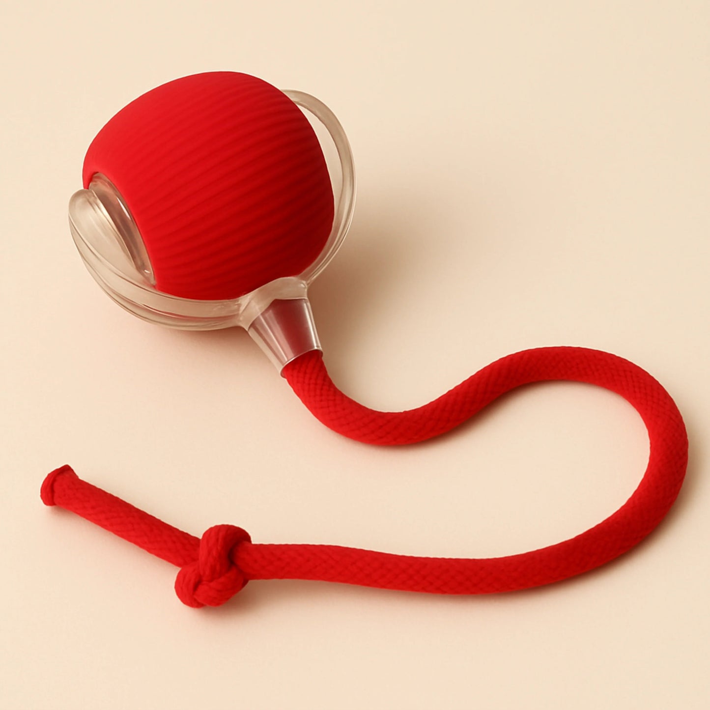 Interactive Cat & Dog Teaser Toy with Tails