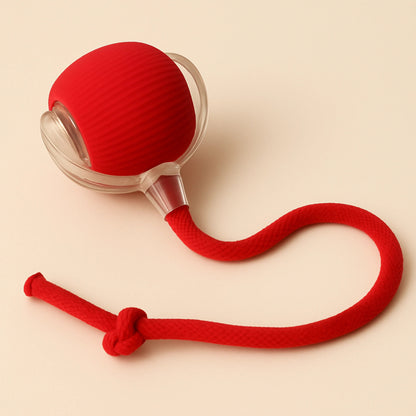 Interactive Cat & Dog Teaser Toy with Tails