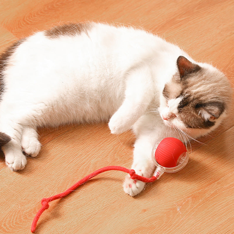 Interactive Cat & Dog Teaser Toy with Tails