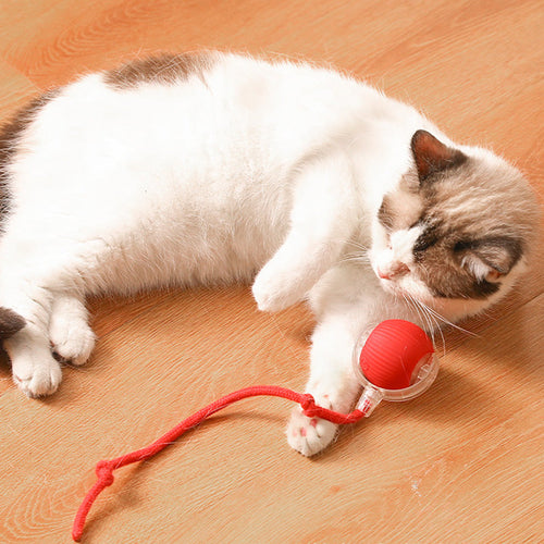 Interactive Cat & Dog Teaser Toy with Tails