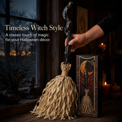 Animated Moving Witch Broom | Halloween Light & Sound Decor