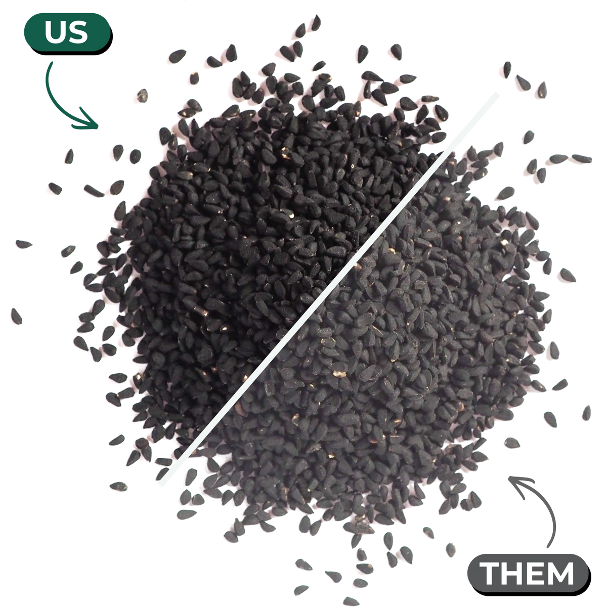 Nigella sativa black seeds
